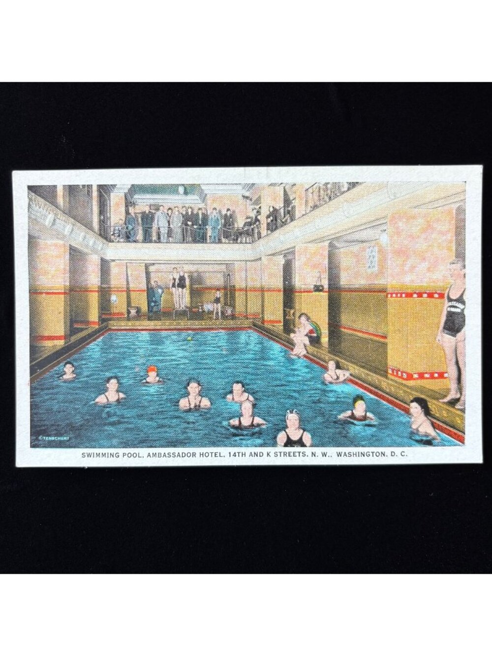 Vintage Postcard Swimming Pool Onlookers Bathing Washington DC Ambassador Hotel